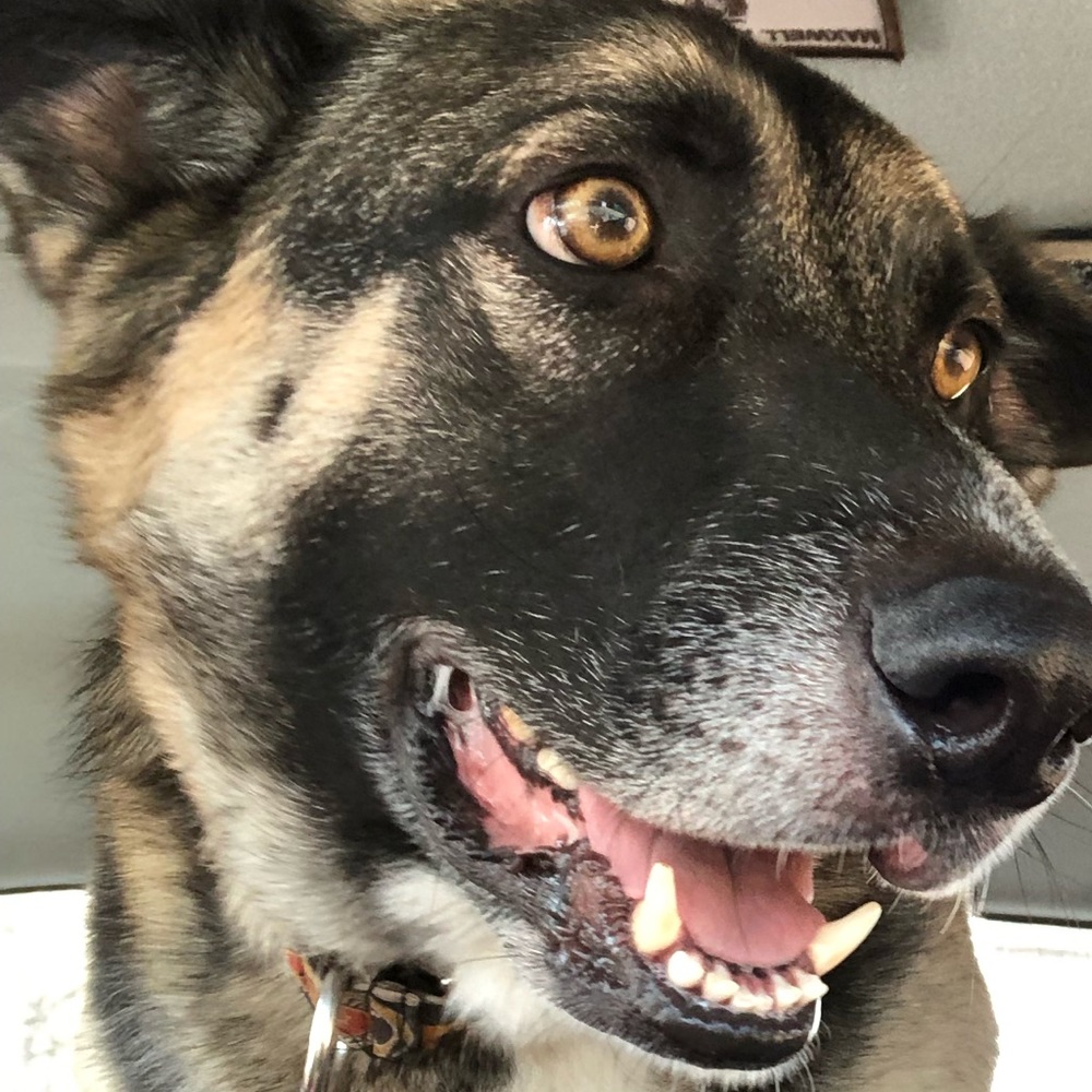 Meet your Posher, Don